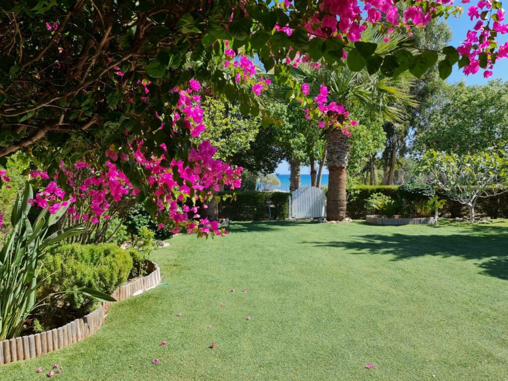 Lill´s Beachhouse with Garden and sea access